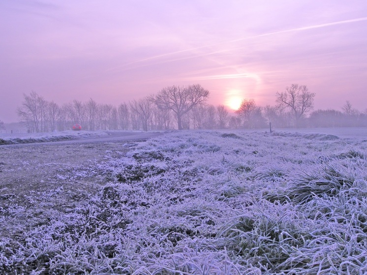 За год в НАО обустроили 20 проекционных пешеходных переходов