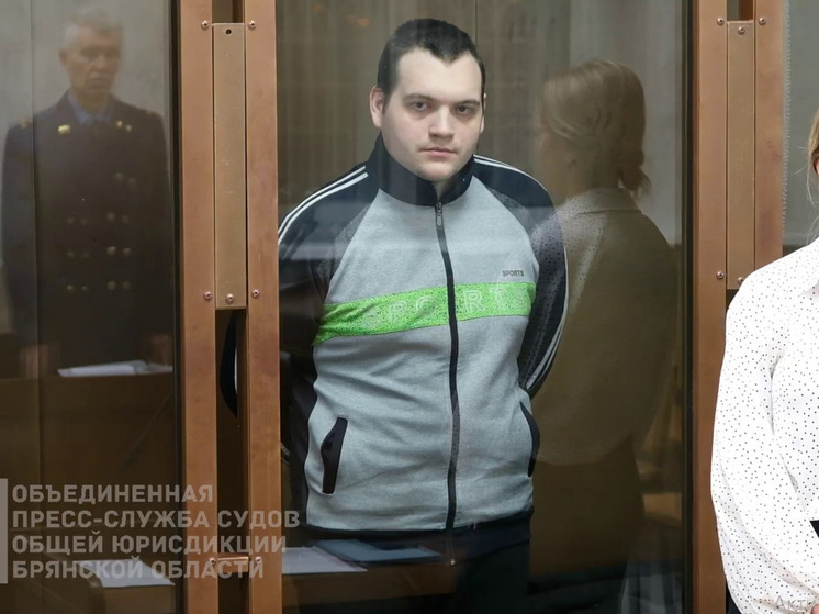 За попытку госизмены ростовчанин получил срок в Брянске