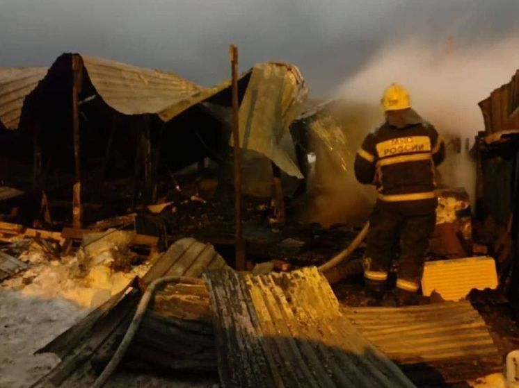 Два человека погибли в горящих бытовках под Дмитровом