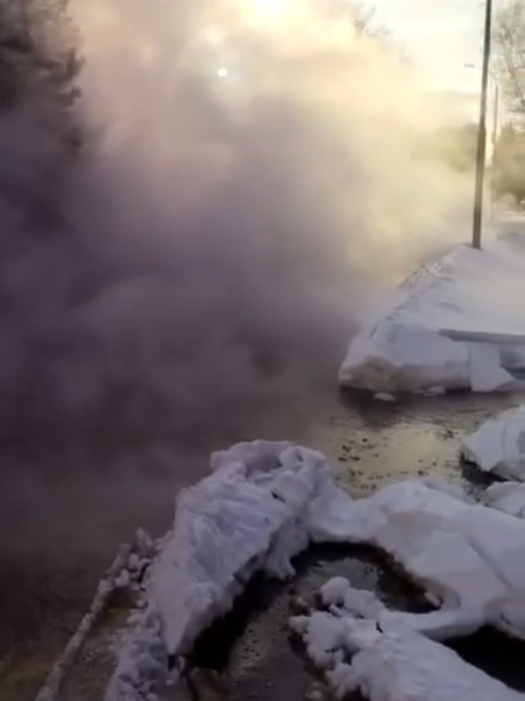 В Химках объявили режим ЧС локального масштаба