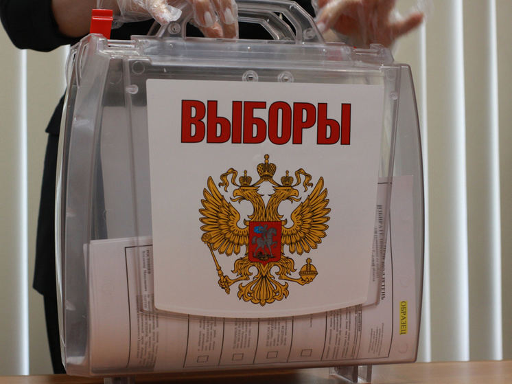 В 110 тульских избирательных участках появятся комплексы обработки бюллетеней