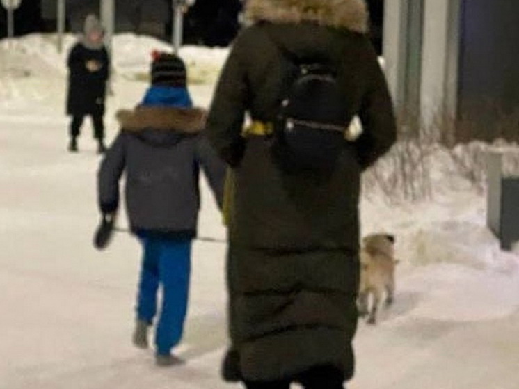 Жительница Екатеринбурга, которая вывела ребенка на улицу в носках, объяснила свой поступок