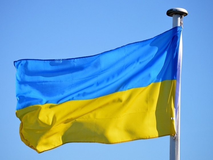 Депутат Шеремет заявил, что Зеленский превратил Украину в резервацию США