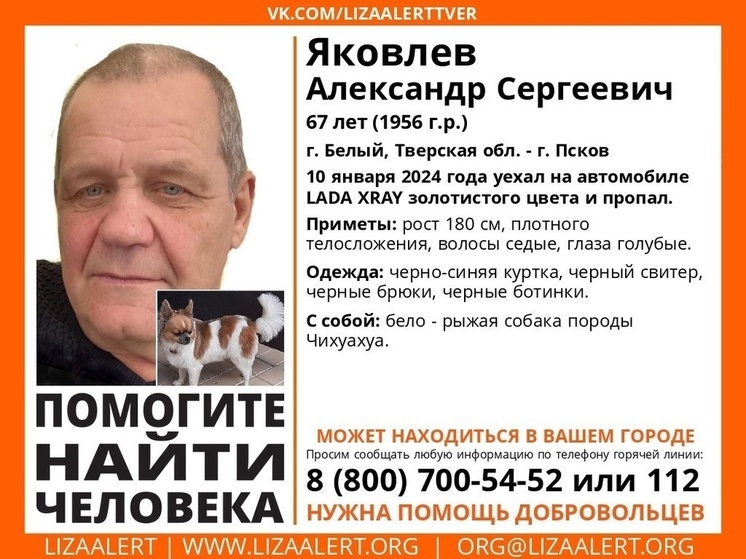 В Тверской области ищут мужчину на золотистой «Ладе» и с собакой