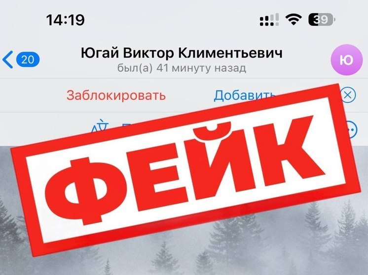 Мошеннический дубль канала в Telegram главы Тазовского района стал третьим за день в ЯНАО