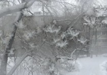 В Хабаровске и его окрестностях по данным специалистов «Дальневосточного УГМС» в субботу 13 января погода будет стоять, по зимним меркам, нормальная – не слишком холодная чтобы можно было выбраться на прогулку, но и не слишком теплая чтобы долго на той прогулке не задерживаться