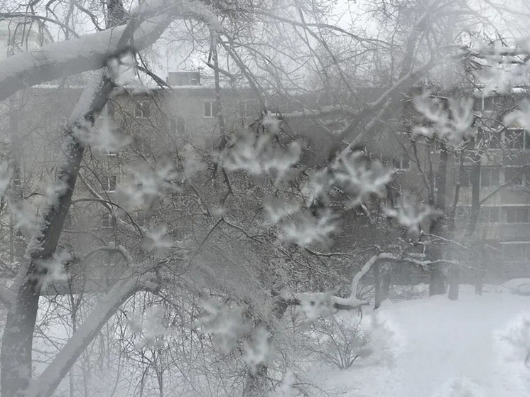 Метеорологи рассказали о погоде в Хабаровском крае на 13 января