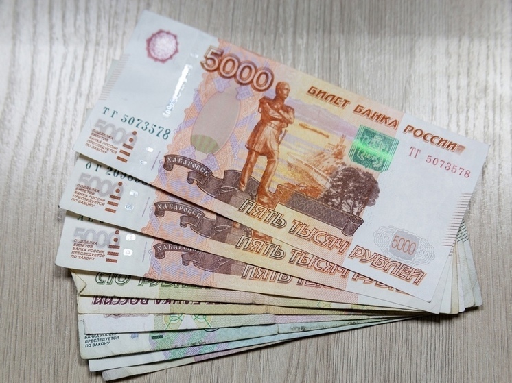 В Новосибирске огласили новые правила получения маткапитала