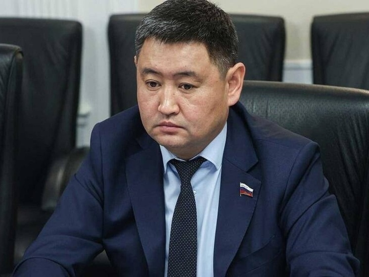 Мошенники обманули сенатора от Калмыкии на 3 миллиона рублей