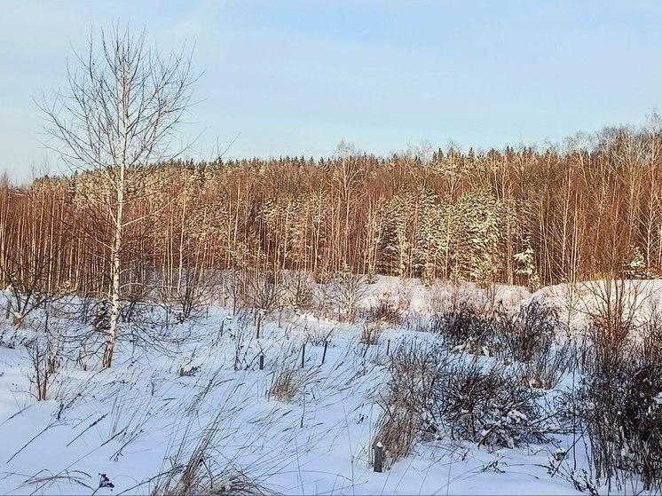 Пензенцев ждет потепление