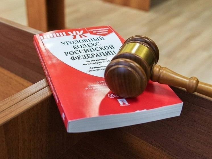 Жительницу Росляково оштрафовали за нападение на полицейского