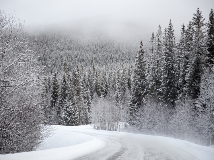 В НАО подсчитали число проехавших к Усинску и обратно машин