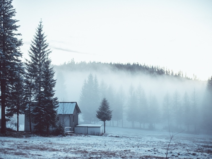 Ненецкий округ перекрыл Аляску по субсидиям на жилье