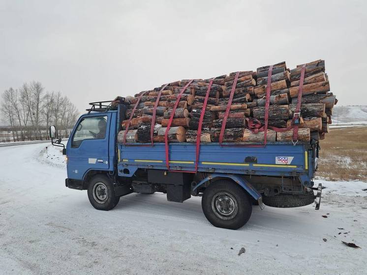Забайкальцы незаконно спилили лиственниц почти на 435 тысяч рублей
