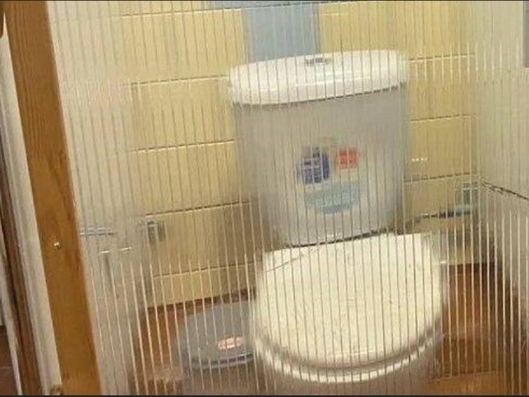 В школе Братска в туалетах стоят прозрачные двери