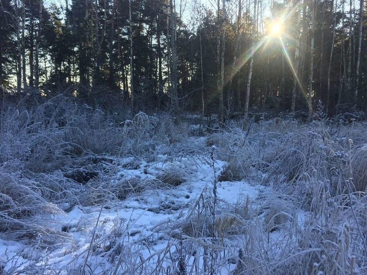 В Рязанской области выпустили метеопредупреждение из-за резкого похолодания