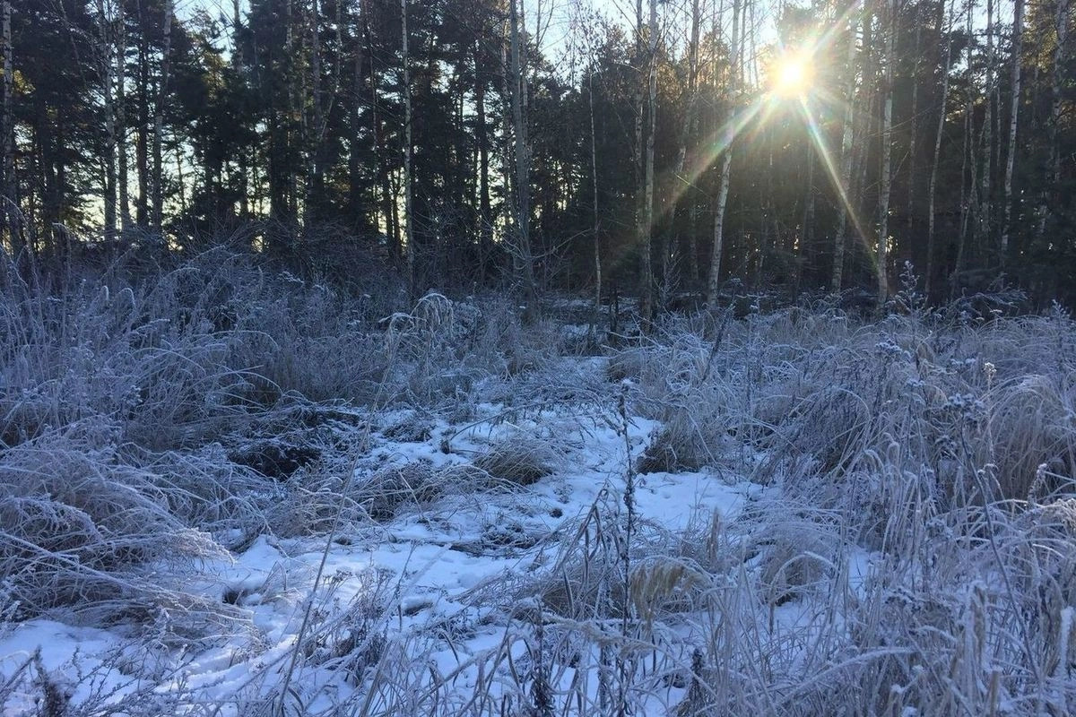 Когда потеплеет в рязани в 2024. Аномально холодный март. Аномальный холод. Аномально холодная погода.