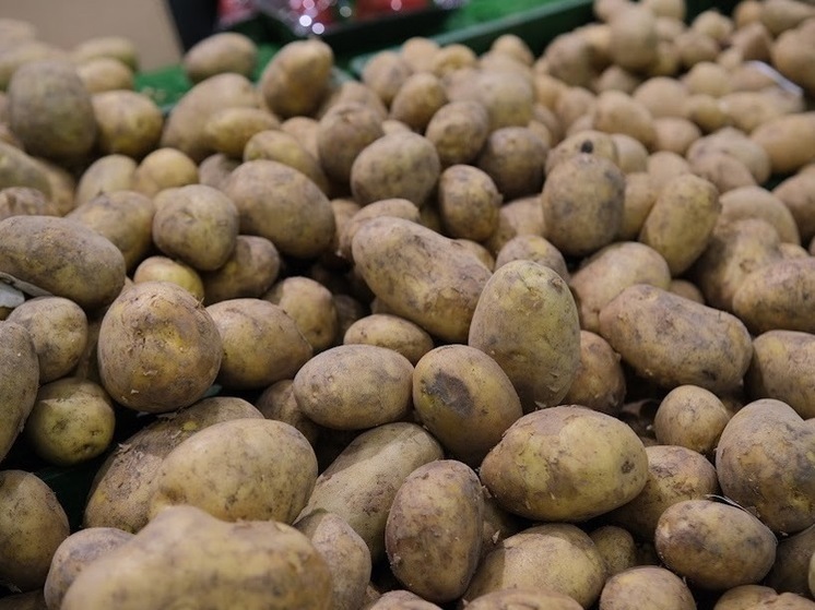 Капуста, лук и картофель за неделю подорожали в Волгоградской области