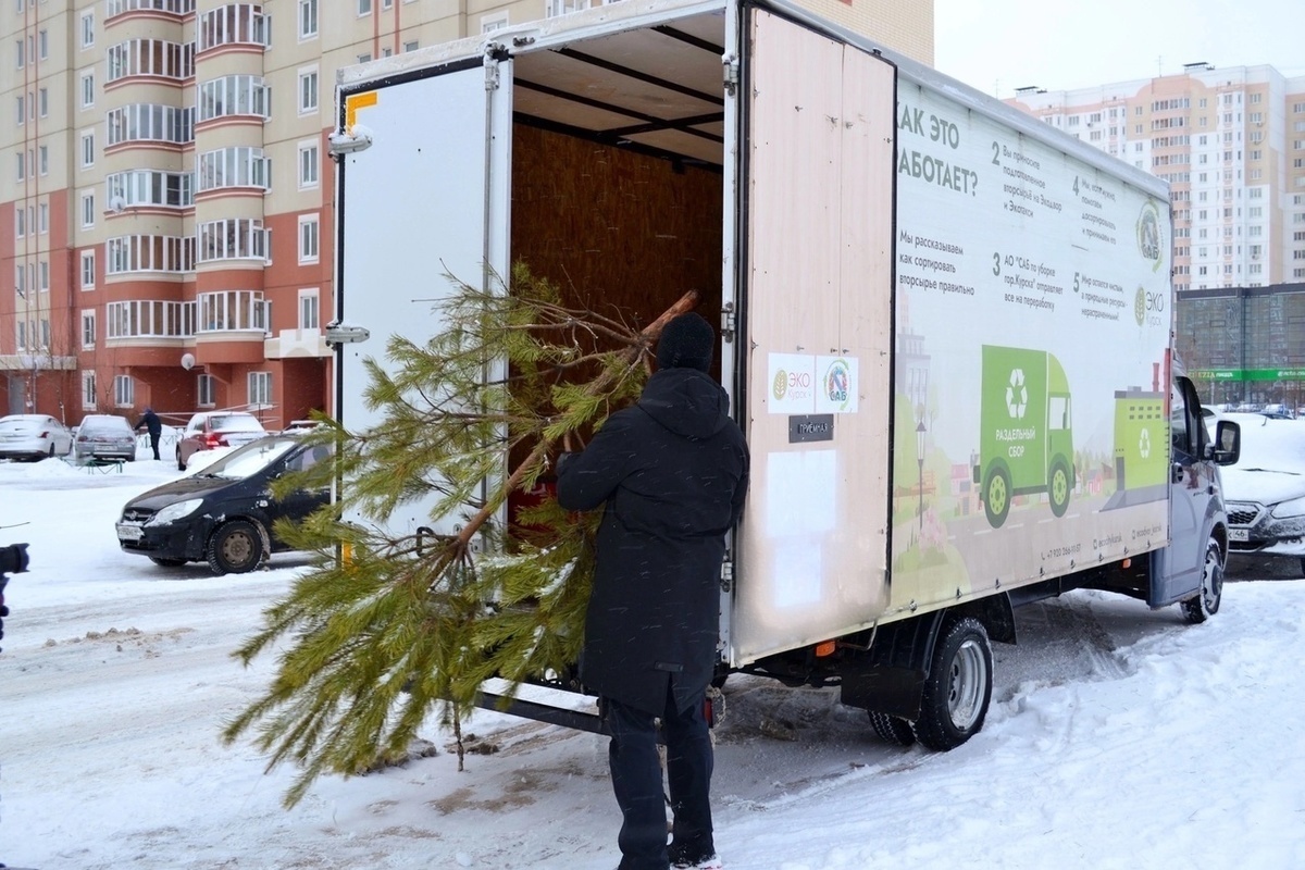 В Курске торговцы сдали на Спецавтобазу 800 непроданных елок