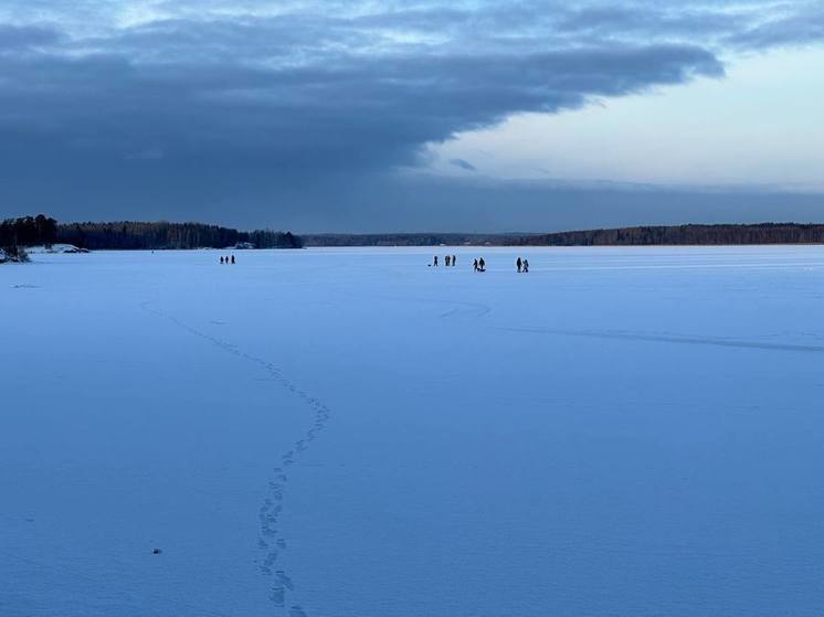В Новгородской области 20-21 января состоится лыжный переход через озеро Ильмень