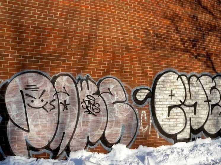 Свыше 800 вандальных надписей выявили в Подмосковье за начало января