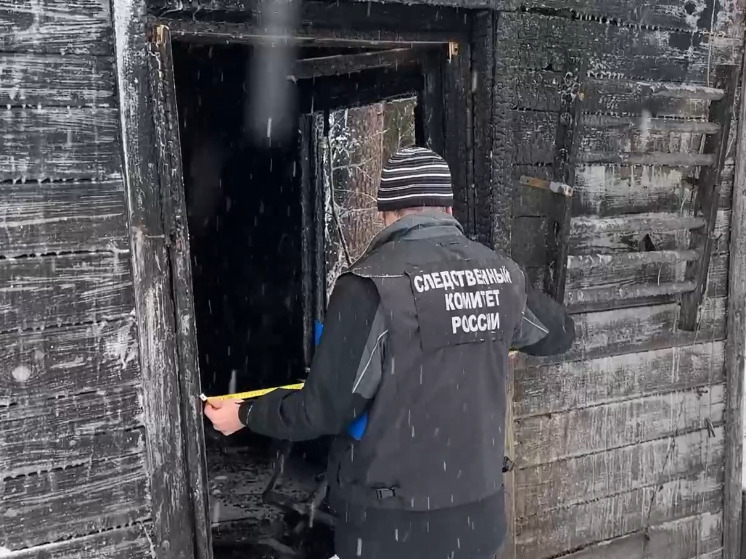 Жительницу Карелии сожгли в собственном доме