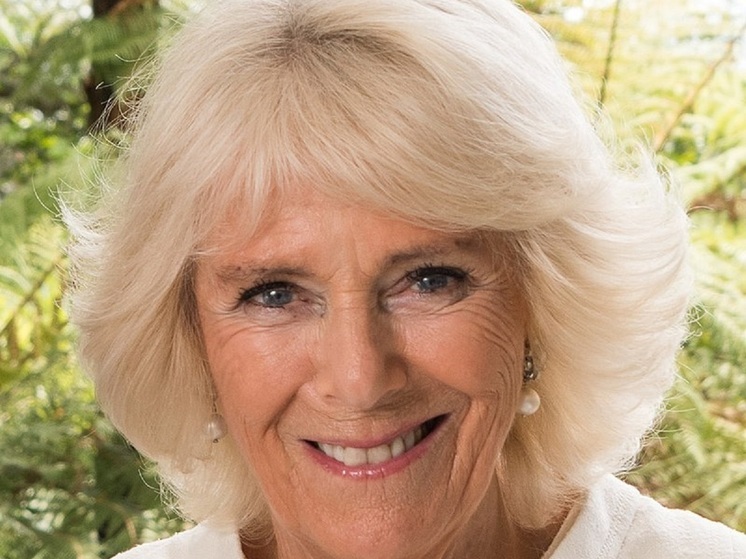 Королеве Камилле приглянулась книжка, где ее мужа, короля Англии Карла III террористы берут в заложники