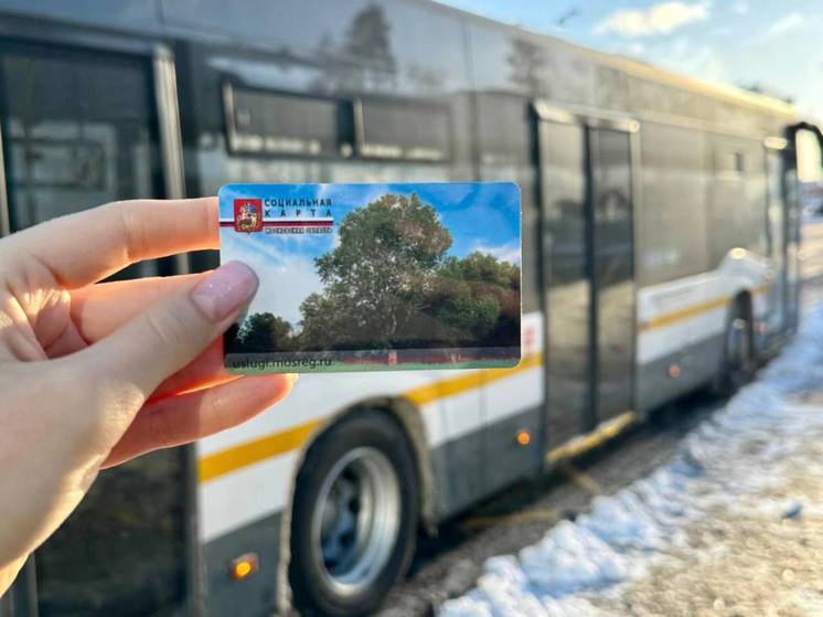 Пенсионеры и дети Подмосковья посвятили праздники путешествиям