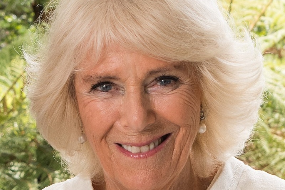 Suspicious choice: Queen Camilla liked the book where her husband is taken hostage by terrorists
