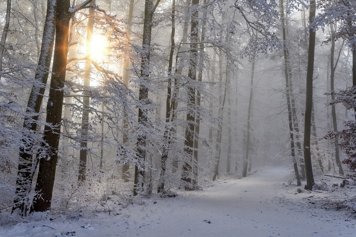 Синоптики 14 января предсказывают в Смоленске небольшой снег