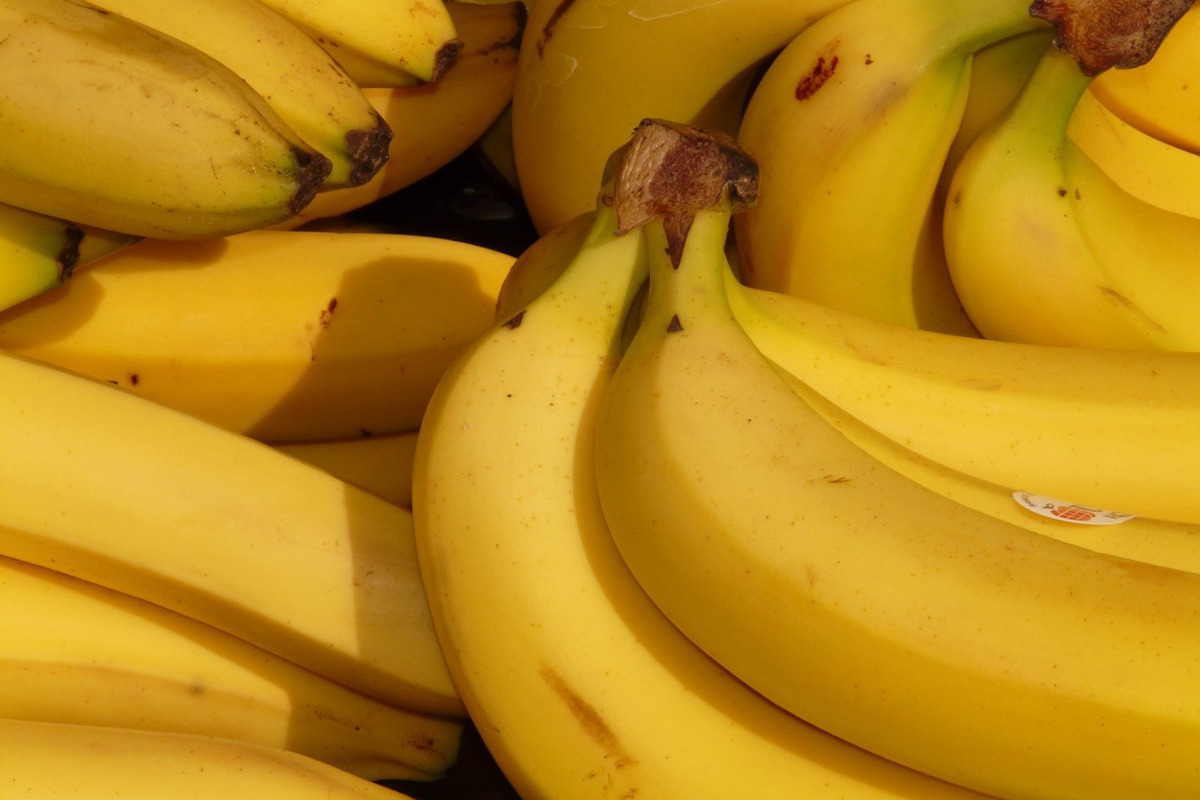 Заполярные медики объяснили, почему банан называют «продуктом-антидепрессантом»