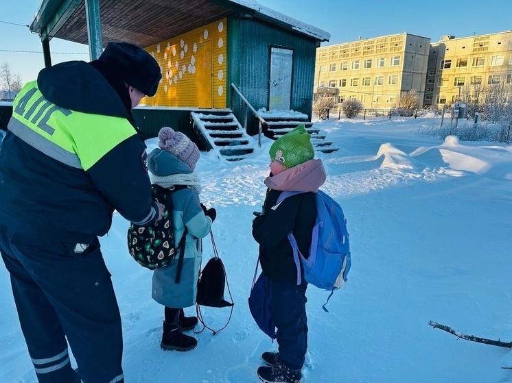 В Плесецке дорожные инспекторы провели акцию «Засветись!»