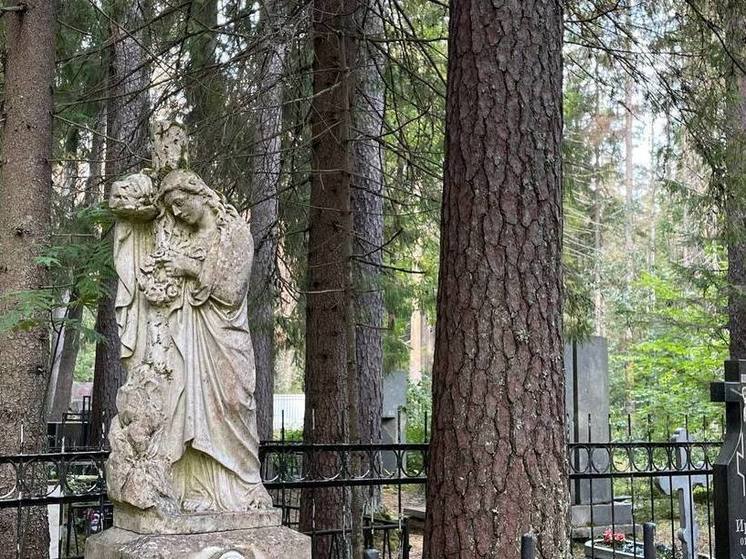 Губернатор Калининградской области рассказал о снижении смертности в регионе
