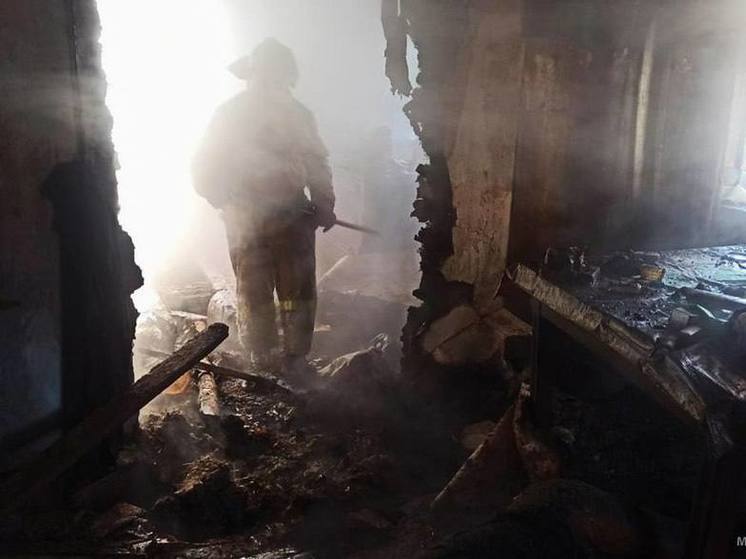 На пожаре в Харцызске погиб пожилой мужчина