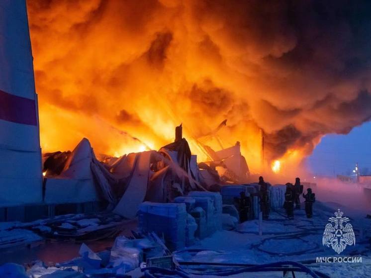 Роспотребнадзор проверит качество воздуха в Ленобласти после пожара в Шушарах