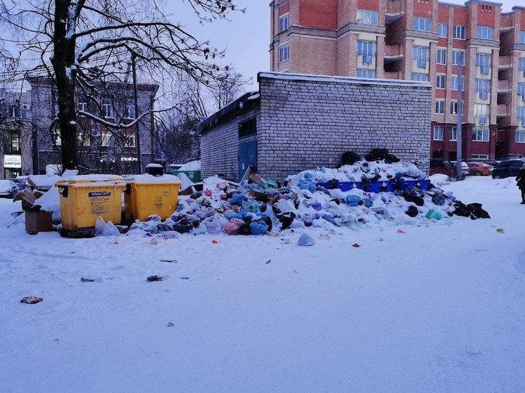 Псковское УФАС: виновные в «мусорном коллапсе» могут заплатить миллионный штраф