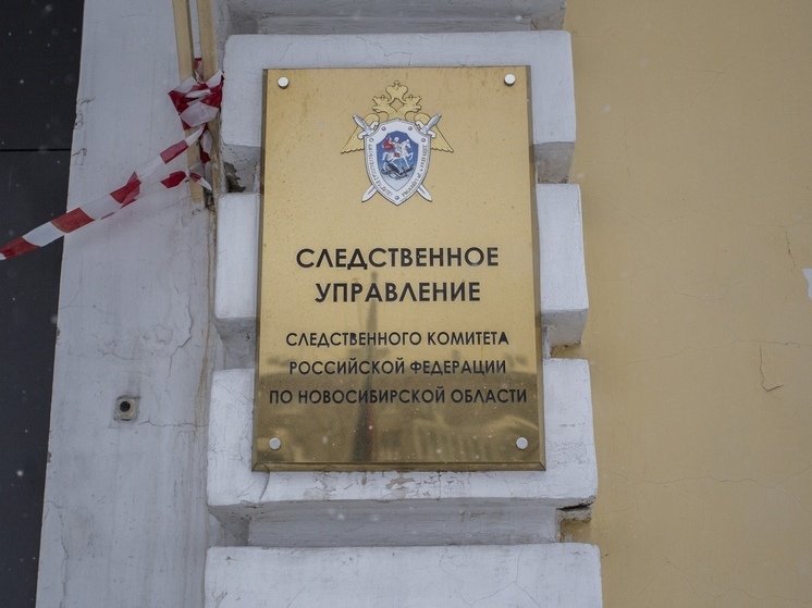 Бастрыкин поручил проверить открывших шиномонтажку мигрантов из-за угроз русской семье в Новосибирске