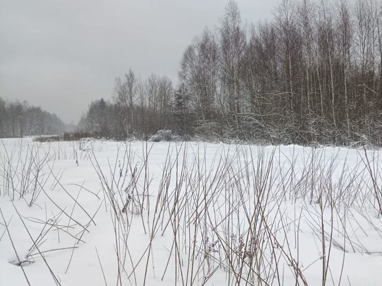  На Крещение в Подмосковье прогнозируют оттепель