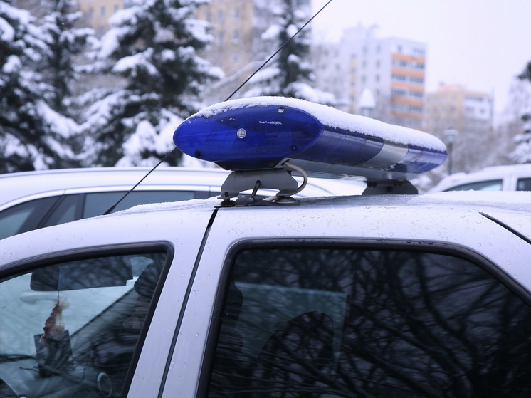 Житель Люберец в мороз на целый день запер свою собаку в машине