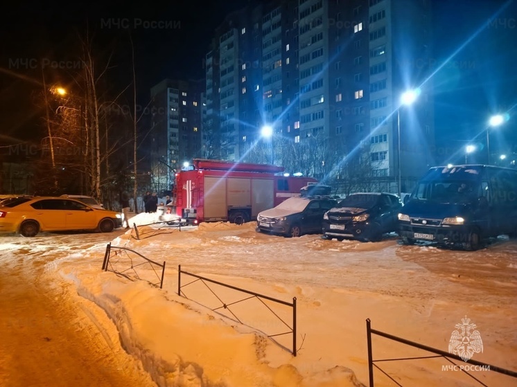 13 января в Туле в пожаре погибла 35-летняя женщина