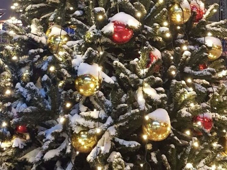 Автомобилист протаранил новогоднюю елку в Подмосковье