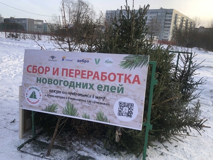 «дЕльный круговорот»: в Вологде стартовала экологическая акция