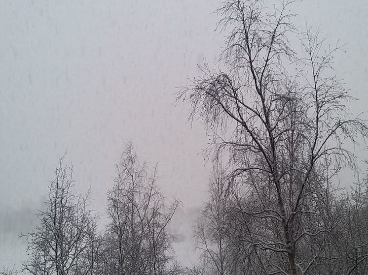 МЧС предупреждает об усилении ветра в Калининградской области 15 января