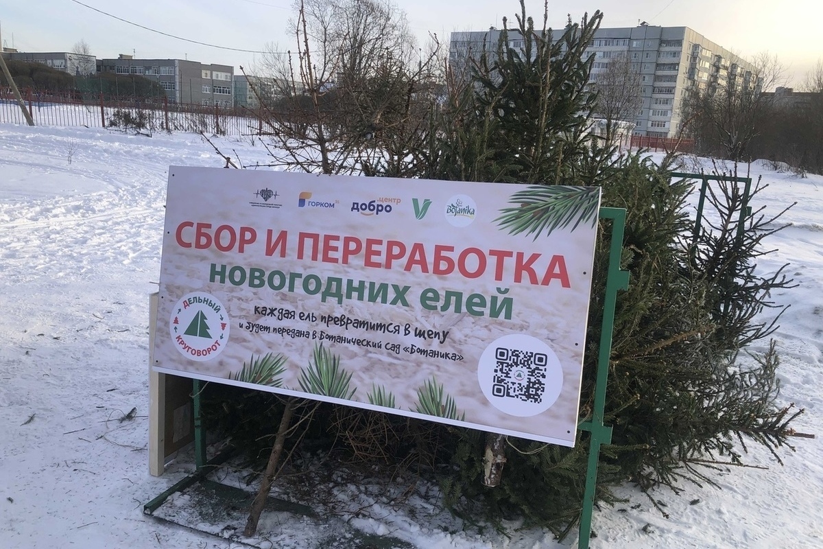 «дЕльный круговорот»: в Вологде стартовала экологическая акция