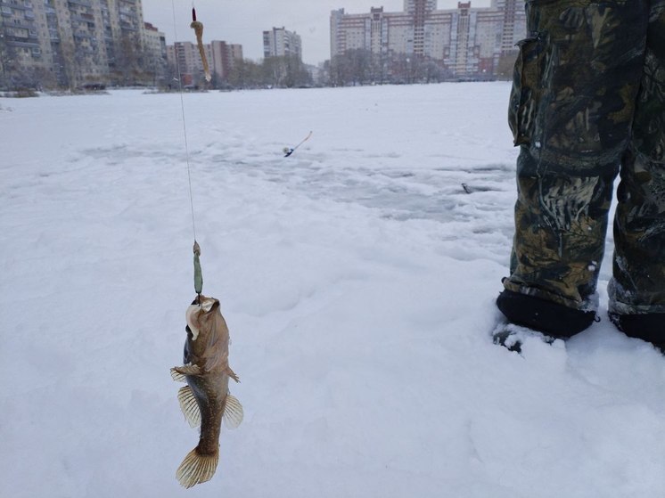 Жителей Калининградской области предупредили о разрушении ледяного покрова