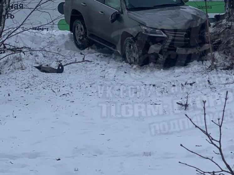 В Ростове-на-Дону водитель за рулем «Лексуса» врезался в дерево