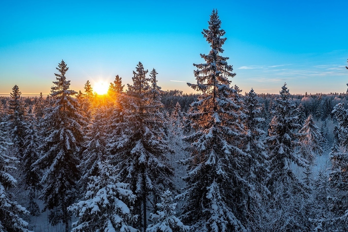 Снег 15 января в Карелии будет небольшой, а морозы усилятся