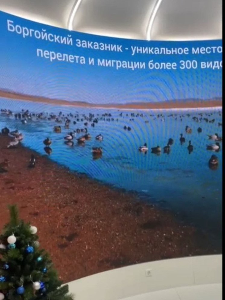 В Москве на ВДНХ рассказали о нерпах и заповедных местах Бурятии