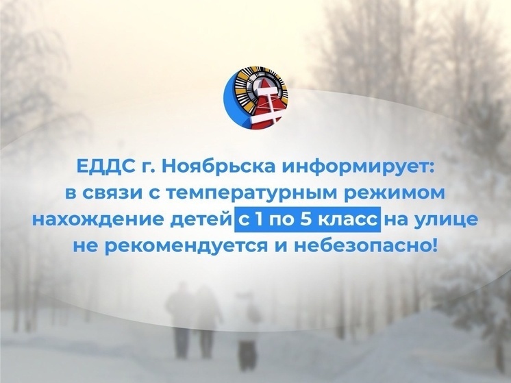 Ямальским школьникам разрешили остаться дома из-за сильного мороза