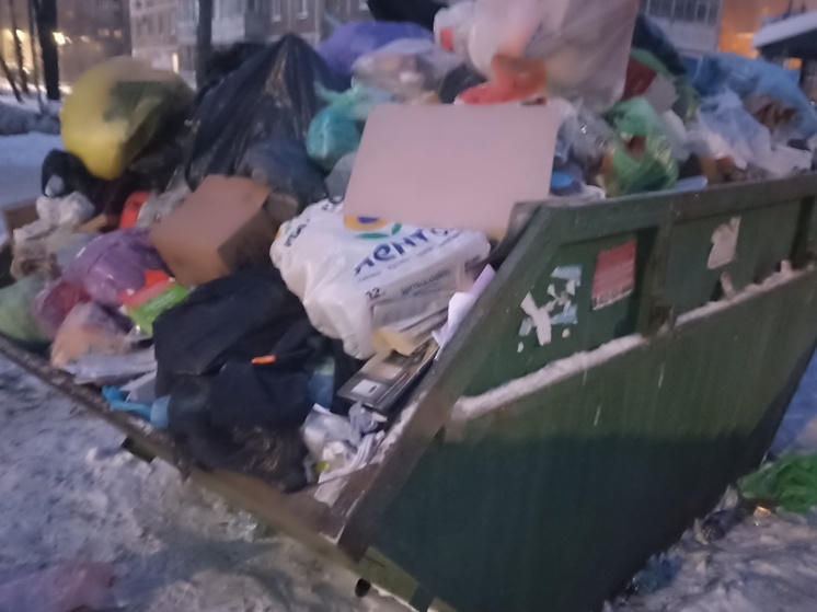 В Оренбурге в одном из микрорайонов баки для мусора переполнены сверх меры